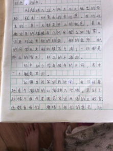 我的校園作文初一作文600字