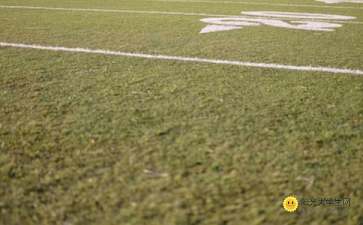 校園一角作文400字寫景,校園一角操場作文400字寫景,初中校園一角作文400字