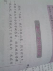 作文,眼中,校園