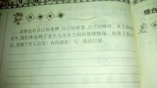 校園趣事多作文250字