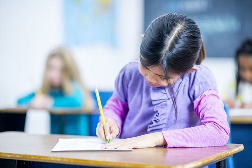 安全的校園作文1000字