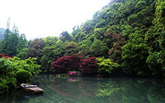 校園的美景作文150字