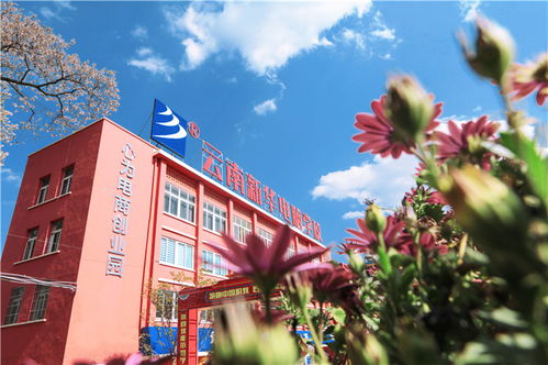 校園里花草樹木的變化作文