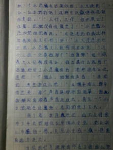 作文,校園生活,感動(dòng),樂(lè)和