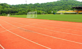 校園一景操場作文150字