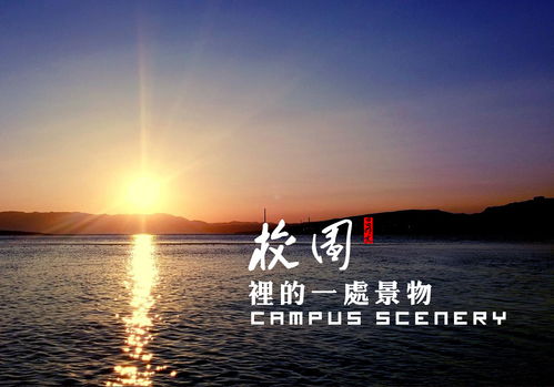 夏天校園的景色作文300字