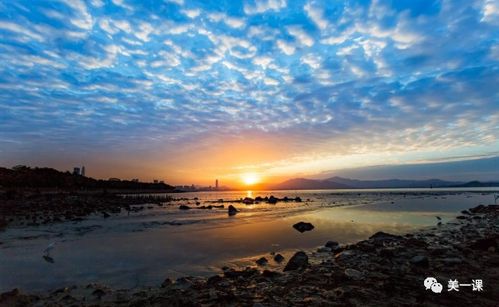 描寫校園景色的優(yōu)美語句作文