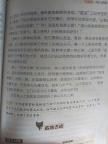 美麗校園作文800字寫景