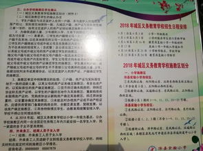 沛縣實驗小學東校區(qū)校園作文