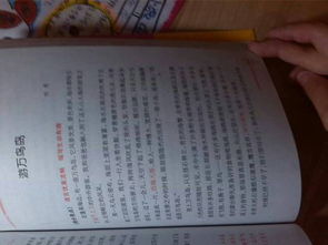 寫(xiě)景,作文,初中,校園