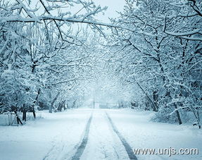 校園冬天早晨的景色作文600字