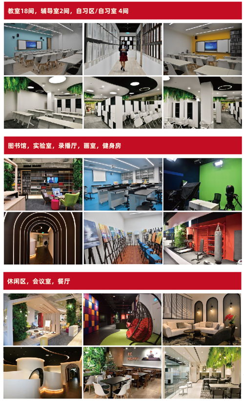 作文新的校園環(huán)境500字