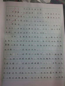 美麗的校園作文500字優(yōu)秀作文,我們美麗的校園作文500字,美麗的校園作文500字左右