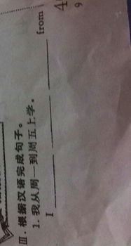 我的校園短作文