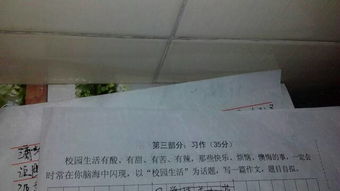 講述校園生活的作文600字