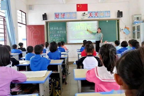 作文關(guān)于校園新穎的主題班會(huì)