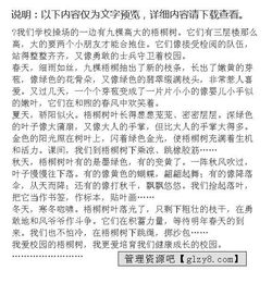 校園里的梧桐樹作文怎么寫三百字,校園里的梧桐樹的作文怎么寫,我喜歡的梧桐樹作文怎么寫