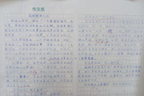 作文,校園,活動