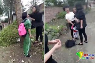 校園暴力的作文,反對校園暴力作文,校園暴力作文300字