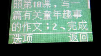 我們的校園總分總結(jié)構(gòu)作文400字