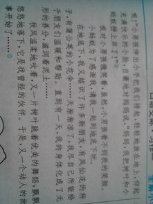 校園豐富多彩的活動作文200字,校園內(nèi)豐富多彩的活動作文,豐富多彩的校園活動作文500字