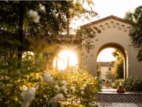 美麗校園的作文開頭怎么寫