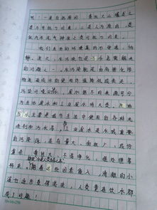 校園一景初二作文600寫(xiě)花