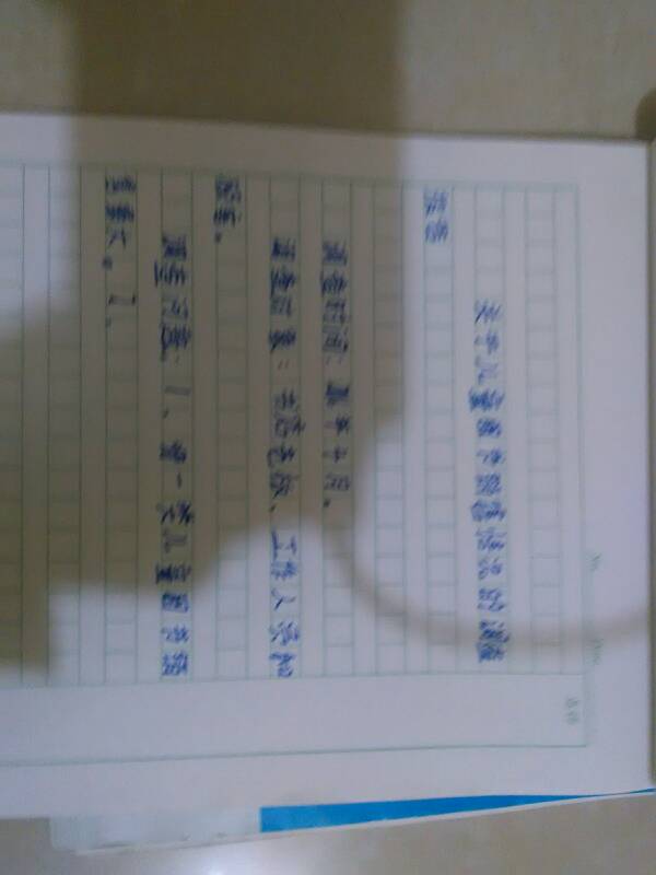 校園調(diào)查報告作文350