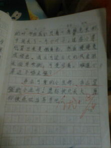 三年級(jí)的作文校園的生活600個(gè)字,校園里的生活作文300字三年級(jí),快樂(lè)的校園生活作文三年級(jí)