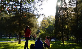 關(guān)于發(fā)生在校園里的一件難忘的事的作文