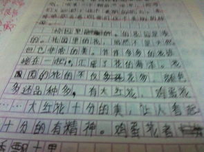 寫果園校園的作文58字作文