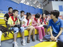 小記者校園采訪寫作文