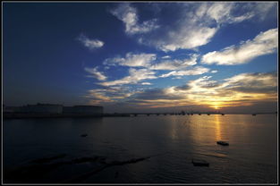 朝霞映照的校園作文人物