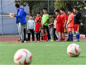 足球隊(duì)校園的一道風(fēng)景線作文