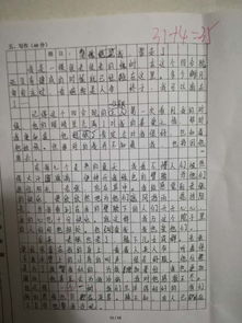 校園的一棵老槐樹作文