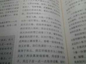 校園寫景作文五百字