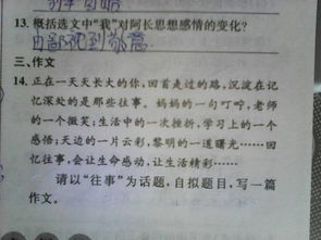 校園情作文七級(jí)600字