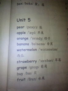 四級下冊作文過渡句我的校園