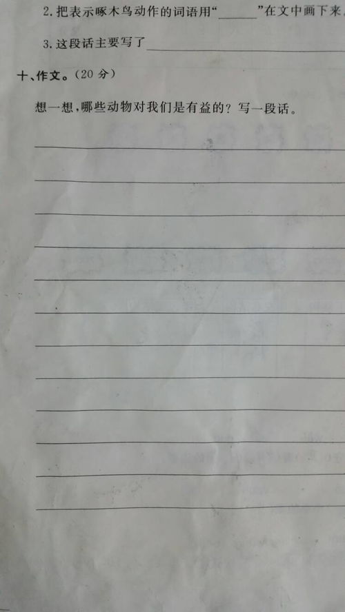 作文,描寫,放學(xué),安靜