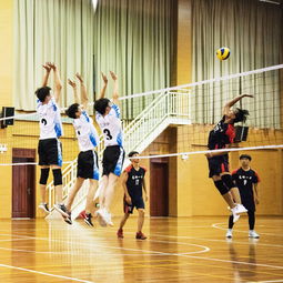 初中校園排球比賽精彩一瞬間作文