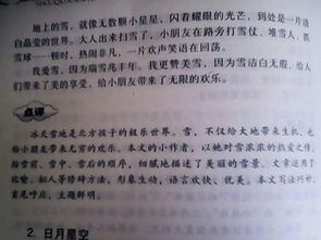 作文,冬天,校園,百字