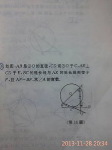 小學(xué)作文有趣的校園活動(dòng)