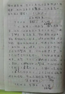 四完小校園作文350字