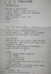 記一次什么的校園作文初一