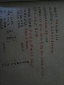 我的校園作文游覽順序