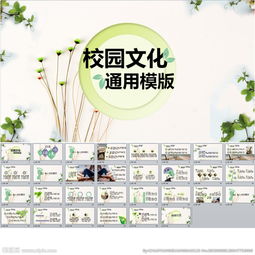 校園文化通用作文