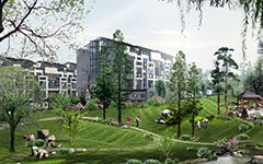 奇妙的校園的作文450字,新的校園作文350字,我的校園350字作文