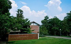 作文,長廊,校園