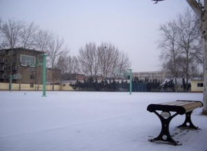 校園的冬天作文600