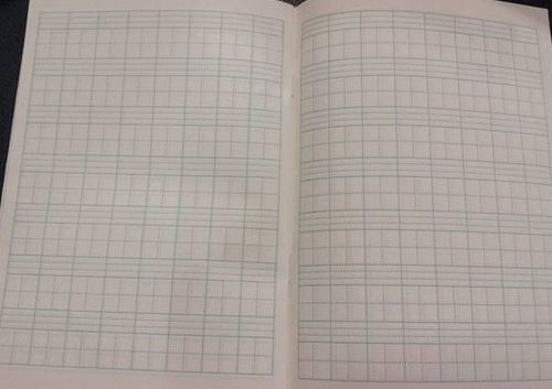 鄉(xiāng)村校園作文大全